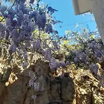 Casa Previteri * Marina di Camerota